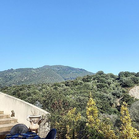 Grand Appartement Spacieux A 5 Min Du Centre Ville อฌักซิโอ้ ภายนอก รูปภาพ